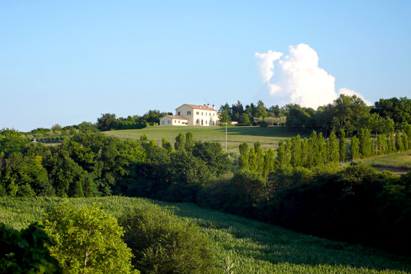 Ausblick Villa Giulia