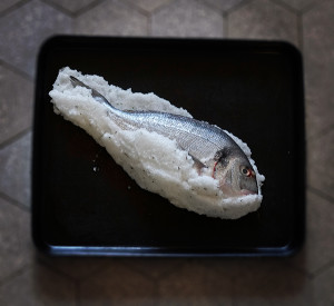 Dorade in Salzkruste