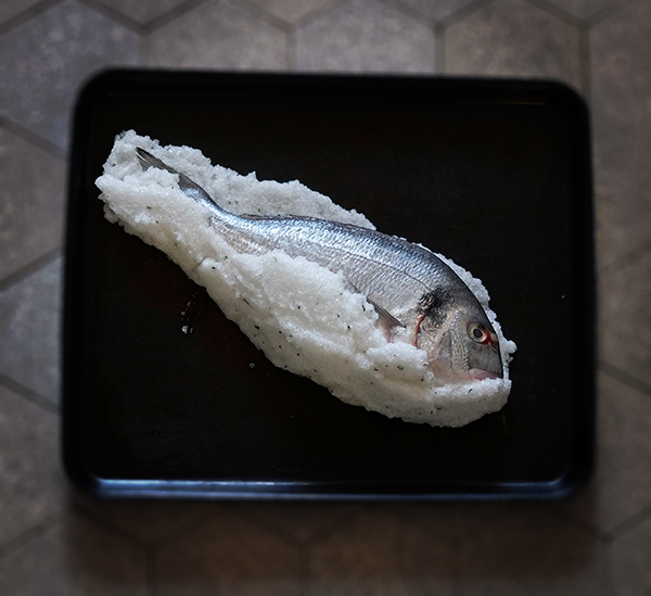 Dorade in Salzkruste
