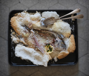 Goldbrasse Salzkruste