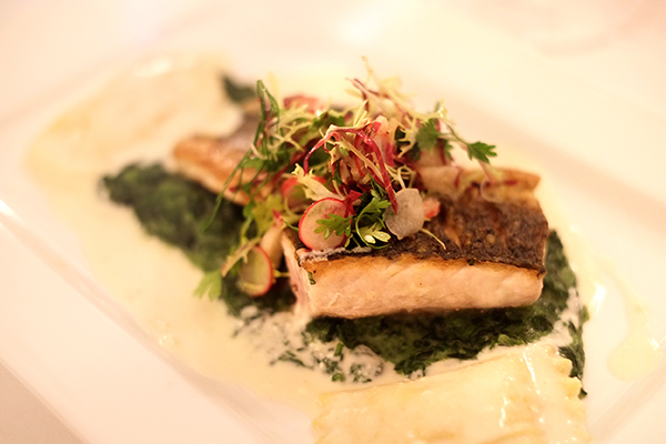 Meeraesche Petz Wien