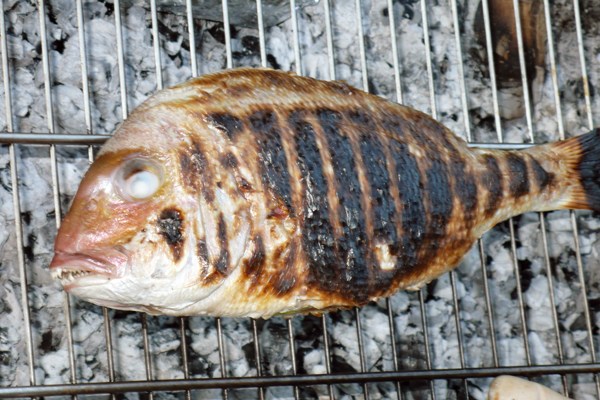 Meerbrasse_Grill