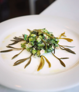 meerfenchel spaccasassi