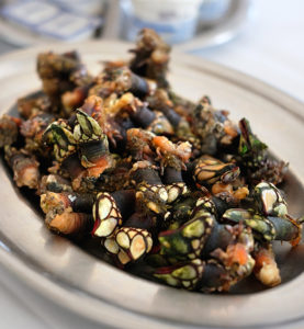 Percebes Entenmuscheln