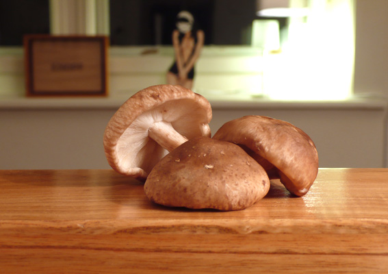 Shiitake